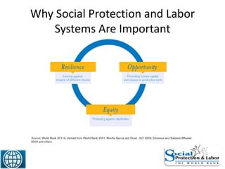 Why Social Protection and Labor
Systems Are Important
10
 