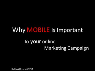 Why MOBILE Is Important
To your online
Marketing Campaign
By David Evans 6/2/13
 