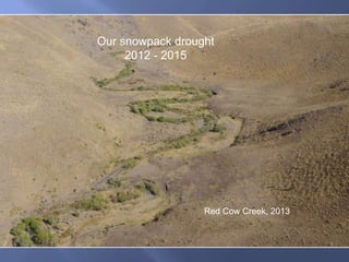 Red Cow Creek, 2013
Our snowpack drought
2012 - 2015
 