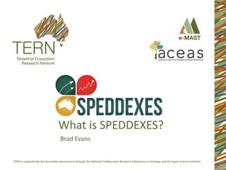What is SPEDDEXES?
Brad Evans
 