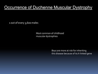 Occurrence of Duchenne Muscular Dystrophy 1 out of every 3,600 males Most common of childhood muscular dystrophies  Boys are more at risk for inheritingthis disease because of its X-linked gene  