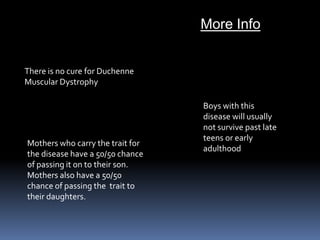 More InfoThere is no cure for Duchenne Muscular Dystrophy Boys with this disease will usually not survive past late teens or early adulthood  Mothers who carry the trait for the disease have a 50/50 chance of passing it on to their son. Mothers alsohave a 50/50 chance of passing the  trait to their daughters.   