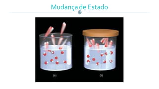 Mudança de Estado
 