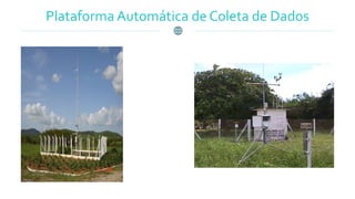 Plataforma Automática de Coleta de Dados
 