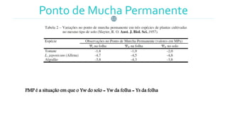 Ponto de Mucha Permanente
PMP é a situação em que o Yw do solo = Yw da folha = Ys da folha
 