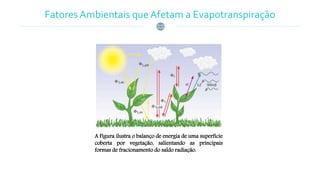 Fatores Ambientais que Afetam a Evapotranspiração
A Figura ilustra o balanço de energia de uma superfície
coberta por vegetação, salientando as principais
formas de fracionamento do saldo radiação.
 