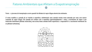 Fatores Ambientais que Afetam a Evapotranspiração
Vento - o processo de transpiração ocorre quando há difusão do vapor d'água através dos estómatos.
O vento modifica a camada de ar vizinha à superfície, substituindo uma camada muitas vezes saturada por uma com menor
conteúdo de vapor d’água. Na camada em contato com a superfície (aproximadamente 1 mm), o movimento de vapor é por
moléculas individuais (difusão molecular), mas acima dessa camada limite superficial, o responsável é o movimento turbulento do
ar (difusão turbulenta).
 
