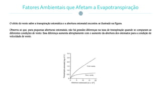 Fatores Ambientais que Afetam a Evapotranspiração
O efeito do vento sabre a transpiração estomática e a abertura estomatal encontra-se ilustrado na Figura.
Observa-se que, para pequenas aberturas estomatais, não há grandes diferenças na taxa de transpiração quando se comparam as
diferentes condições de vento. Essa diferença aumenta abruptamente com o aumento da abertura dos estomatos para a condição de
velocidade de vento.
 