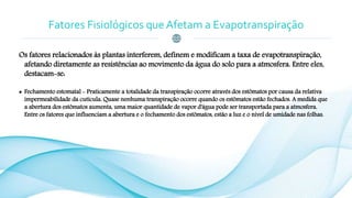 Fatores Fisiológicos que Afetam a Evapotranspiração
Os fatores relacionados às plantas interferem, definem e modificam a taxa de evapotranspiração,
afetando diretamente as resistências ao movimento da água do solo para a atmosfera. Entre eles,
destacam-se:
 Fechamento estomatal - Praticamente a totalidade da transpiração ocorre através dos estômatos por causa da relativa
impermeabilidade da cutícula. Quase nenhuma transpiração ocorre quando os estômatos estão fechados. A medida que
a abertura dos estômatos aumenta, uma maior quantidade de vapor d'água pode ser transportada para a atmosfera.
Entre os fatores que influenciam a abertura e o fechamento dos estômatos, estão a luz e o nível de umidade nas folhas.
 