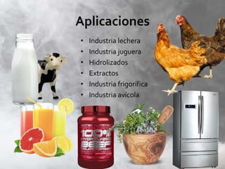 Aplicaciones
• Industria lechera
• Industria juguera
• Hidrolizados
• Extractos
• Industria frigorífica
• Industria avícola
 