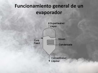 Funcionamiento general de un
evaporador
 