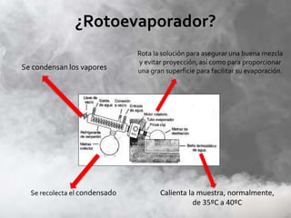 ¿Rotoevaporador?
Rota la solución para asegurar una buena mezcla
y evitar proyección, así como para proporcionar
una gran superficie para facilitar su evaporación.
Calienta la muestra, normalmente,
de 35ºC a 40ºC
Se condensan los vapores
Se recolecta el condensado
 