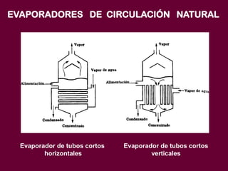 Evaporador de tubos cortos Evaporador de tubos cortos
horizontales verticales
EVAPORADORES DE CIRCULACIÓN NATURAL
 