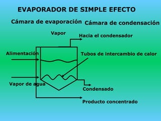EVAPORADOR DE SIMPLE EFECTO
Vapor
Hacia el condensador
Alimentación Tubos de intercambio de calor
Vapor de agua
Condensado
Producto concentrado
Cámara de evaporación Cámara de condensación
 