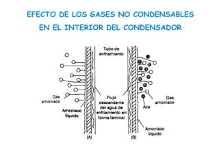 EFECTO DE LOS GASES NO CONDENSABLES
EN EL INTERIOR DEL CONDENSADOR
 