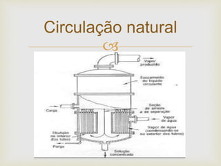 
Circulação natural
 