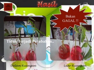 Tidak Terjadi Perubahan..




  Dalam Ruangan             Luar Ruangan
 