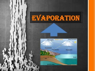 evaporation
 