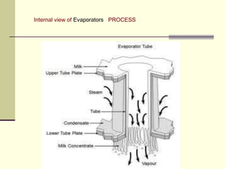 Internal view of Evaporators PROCESS 
 