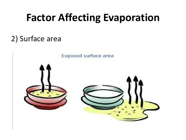 what factors affect the rate of evaporation of water Rate of evaporation of different liquids objective of the project this project is of the rate of evaporation of different liquid, in which we also discuss the factors which affect the rate of liquid. what factors affect the rate of evaporation of water Rate of evaporation of different liquids objective of the project this project is of the rate of evaporation of different liquid, in which we also discuss the factors which affect the rate of liquid.
