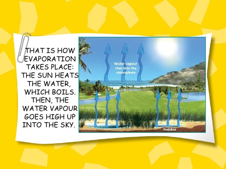 Evaporation Transpiration