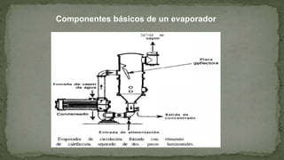 Componentes básicos de un evaporador
 
