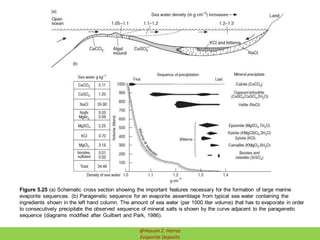 Figure 5.25 (a) Schematic cross section showing the important features necessary for the formation of large marine
evaporite sequences. (b) Paragenetic sequence for an evaporite assemblage from typical sea water containing the
ingredients shown in the left hand column. The amount of sea water (per 1000 liter volume) that has to evaporate in order
to consecutively precipitate the observed sequence of mineral salts is shown by the curve adjacent to the paragenetic
sequence (diagrams modified after Guilbert and Park, 1986).
24
@Hassan Z. Harraz
Evaporite Deposits
 