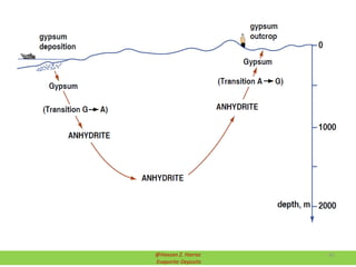 @Hassan Z. Harraz
Evaporite Deposits
41
 