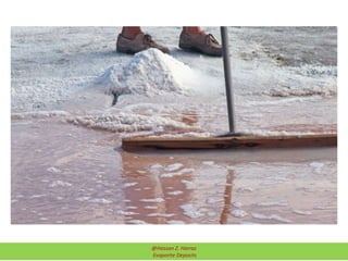 @Hassan Z. Harraz
Evaporite Deposits
 