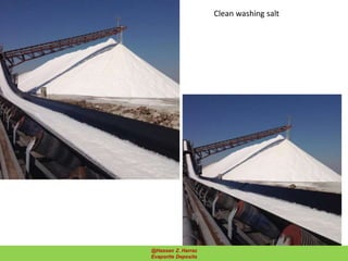 Clean washing salt
51@Hassan Z. Harraz
Evaporite Deposits
 