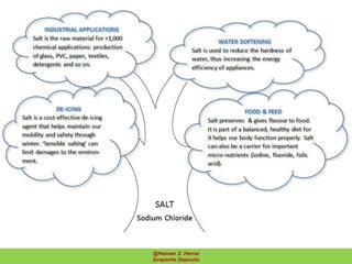 54@Hassan Z. Harraz
Evaporite Deposits
 