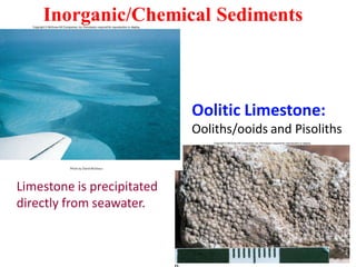 Inorganic/Chemical Sediments
Oolitic Limestone:
Ooliths/ooids and Pisoliths
Limestone is precipitated
directly from seawater.
 