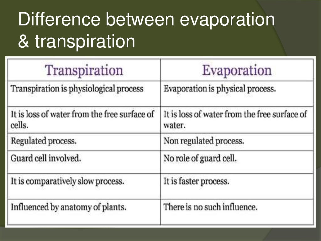 Evapotranspiration ppt