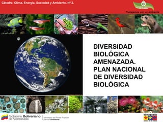 Cátedra Clima, Energía, Sociedad y Ambiente. Nº 2.


                                                            Trabajamos por un ambiente
                                                            sano




                                                     DIVERSIDAD
                                                     BIOLÓGICA
                                                     AMENAZADA.
                                                     PLAN NACIONAL
                                                     DE DIVERSIDAD
                                                     BIOLÓGICA
 