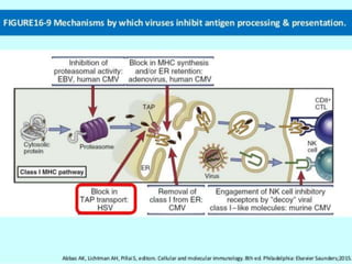 Evasion Mechanism By Virus