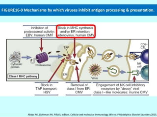 Evasion Mechanism By Virus