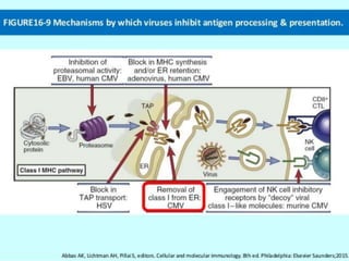 Evasion Mechanism By Virus