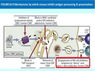 Evasion Mechanism By Virus