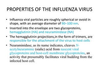 PROPERTIES OF THE INFLUENZA VIRUS
• Influenza viral particles are roughly spherical or ovoid in
shape, with an average diameter of 90–100 nm.
• Inserted into the envelope are two glycoproteins,
hemagglutinin (HA) and neuraminidase (NA)
• The hemagglutinin projections,in the form of trimers, are
responsible for the attachment of the virus to host cells
• Neuraminidase, as its name indicates, cleaves N-
acetylneuraminic (sialic) acid from nascent viral
glycoproteins and host-cell membrane glycoproteins, an
activity that presumably facilitates viral budding from the
infected host cell.
 
