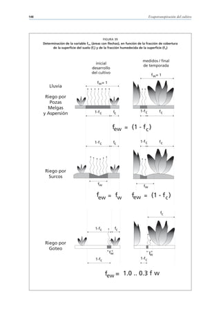 148                                                                             Evapotranspiración del cultivo




                                                 FIGURA 39
      Determinación de la variable few (áreas con flechas), en función de la fracción de cobertura
            de la superficie del suelo (fc) y de la fracción humedecida de la superficie (fw)



                                                                          medidos / ﬁnal
                                         inicial
                                                                          de temporada
                                       desarrollo
                                       del cultivo
                                                                                 fw= 1

                                          fw = 1
          Lluvia

       Riego por
         Pozas
        Melgas
                                         1-f c         fc               1-f c          fc
      y Aspersión


                                                      few = (1 - f c )

                                         1-f c         fc               1-f c          fc




       Riego por
         Surcos
                                           fw
                                                                          fw

                                          few = fw                few = (1 - f c )

                                                                                        fc



                                         1-fc            fc


       Riego por
         Goteo
                                                    fw                          fw
                                         1-fc                           1-f c



                                                  few = 1.0 .. 0.3 f w
 