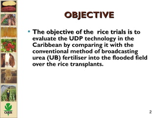 1181-Evaluation of the Urea Deep Placement (UDP) Technology in ...