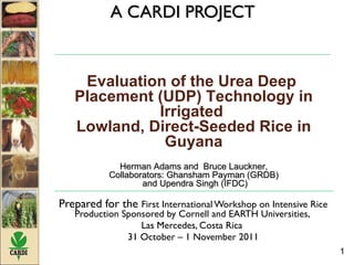 A CARDI PROJECT Prepared for the  First International Workshop on Intensive Rice Production Sponsored by Cornell and EARTH Universities,  Las Mercedes, Costa Rica  31 October – 1 November 2011 Evaluation of the Urea Deep  Placement (UDP) Technology in Irrigated  Lowland, Direct-Seeded Rice in Guyana Herman Adams and  Bruce Lauckner, Collaborators: Ghansham Payman (GRDB)  and Upendra Singh (IFDC) 