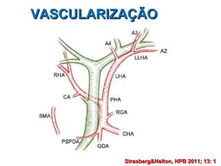 VASCULARIZAÇÃO Strasberg&Helton, HPB 2011; 13: 1   