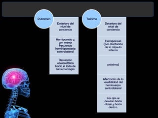 Putamen

Talamo
Deterioro del
nivel de
conciencia

Deterioro del
nivel de
conciencia

Hemiparesia y,
con menos
frecuencia
hemihipoestesia
contralateral

Hemiparesia
(por afectación
de la cápsula
interna

Desviación
oculocefálica
hacia el lado de
la hemorragia

próxima)

Afectación de la
sensibilidad del
hemicuerpo
contralateral

Los ojos se
desvían hacia
abajo y hacia
dentro.

 