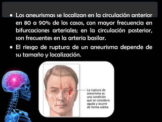 • Los aneurismas se localizan en la circulación anterior
en 80 a 90% de los casos, con mayor frecuencia en
bifurcaciones arteriales; en la circulación posterior,
son frecuentes en la arteria basilar.
• El riesgo de ruptura de un aneurisma depende de
su tamaño y localización.

 