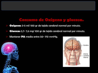 Consumo de Oxígeno y glucosa.
 Oxígeno: 3-5 ml/ 100 gr de tejido cerebral normal por minuto.
 Glucosa: 5,7- 7,6 mg/ 100 gr de tejido cerebral normal por minuto.
 Mantener PA media entre 50- 170 mmHg.

 