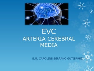EVC 
ARTERIA CEREBRAL 
MEDIA 
E.M. CAROLINE SERRANO GUTIERREZ 
 