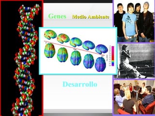 Medio Ambiente   Genes   Desarrollo 