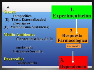 2.  Respuesta Farmacológica 3.  Dependencia Genes:   Inespecífico (Ej. Trast. Externalizados) Específicos  (Ej. Metabolismo Sustancias) Medio Ambiente:   Características de la  sustancia Estresores Sociales Desarrollo:   Adolescencia 1. Experimentación Uso crónico 