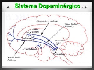 Sistema Dopaminérgico 